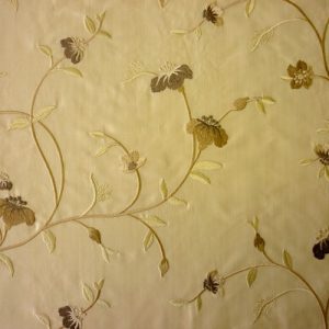 Primrose Oyster