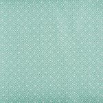 Key Spearmint