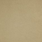 Montana Putty