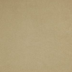 Montana Putty