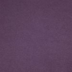 Montana Violet