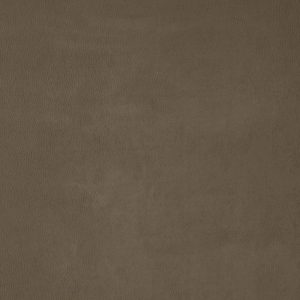 Utah Mocha