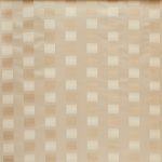 Karoo Ivory