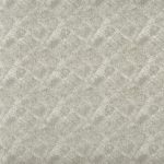 Tropic Calico