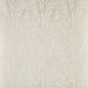 Kiku Alabaster
