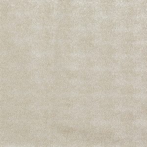 Endless Satinwood