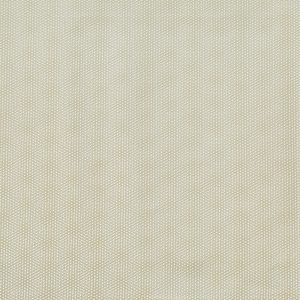 Limitless Magnolia