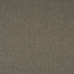 Flynn Earth