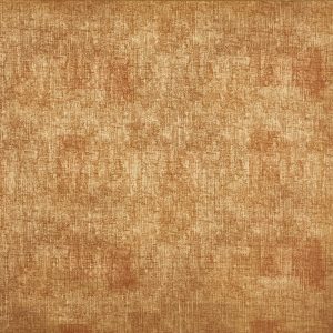 Envision Umber