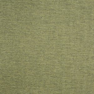 Hopsack Cactus