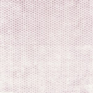 Moon Rose Dust