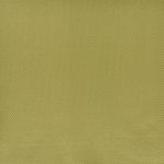 Charleston Olive