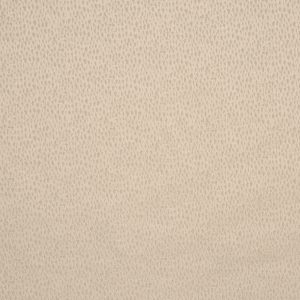 Facade Putty