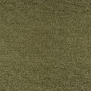Secret Olive