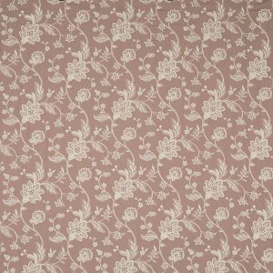 Bayswater Woodrose