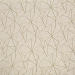 Fraction Chalk