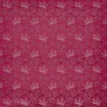 Juniper Fuchsia