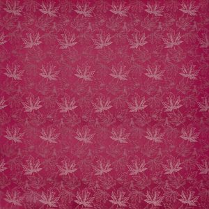 Juniper Fuchsia