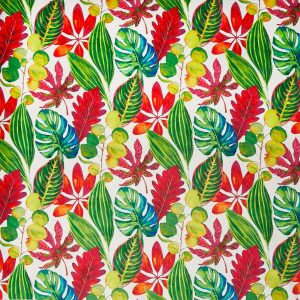 Bahamas Tropical (pts104)