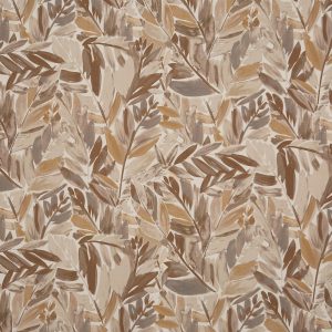 Acer Pampas (pts106)