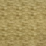 Honshu Wasabi