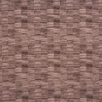 Honshu Plum