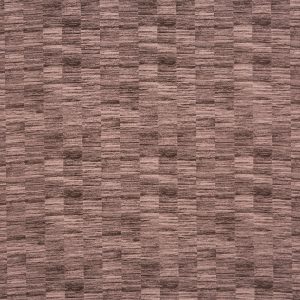 Honshu Plum