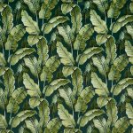 Nicobar Rainforest (pts104)