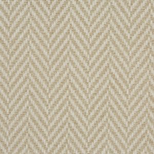 Rattan Pampas