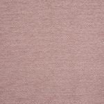 Fretwork Woodrose