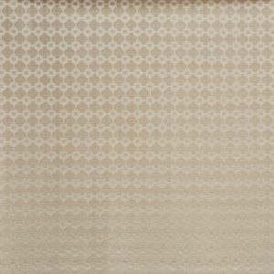 Jamila Calico (pts113)