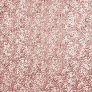 Nahla Orchid (pts113)