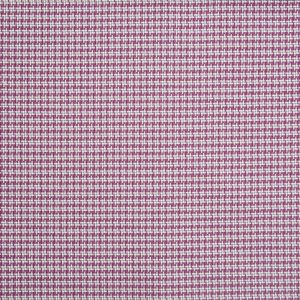 Riva Raspberry