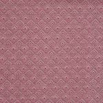 Vernazza Raspberry