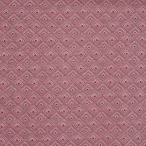 Vernazza Raspberry
