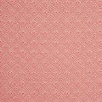 Vernazza Coral