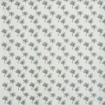 Little Palm Fern