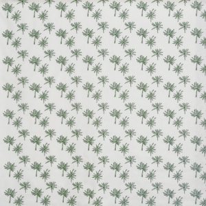 Little Palm Fern