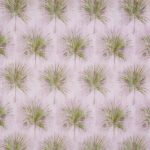 Greenery Wisteria (pts108)