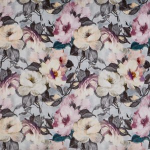 Rosa Orchid (pts104)
