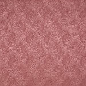 Bailey Raspberry
