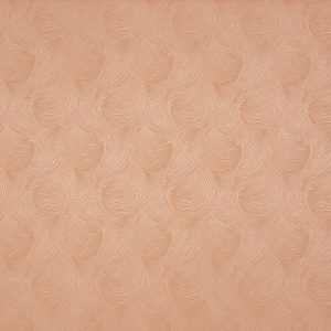Bailey Shell