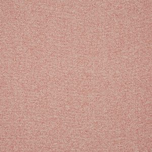 Robertson Petal