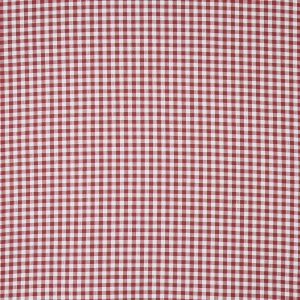 Arlington Strawberry (pts116)