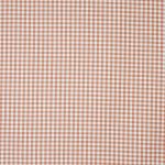 Arlington Apricot (pts116)