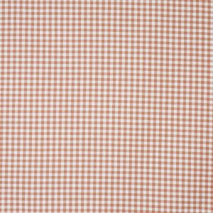 Arlington Apricot (pts116)