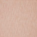 Burford Apricot