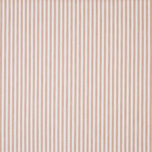 Witney Apricot (pts116)
