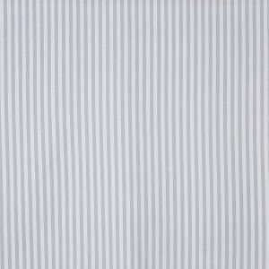 Witney Silver (pts116)