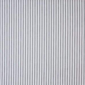 Witney Zinc (pts116)